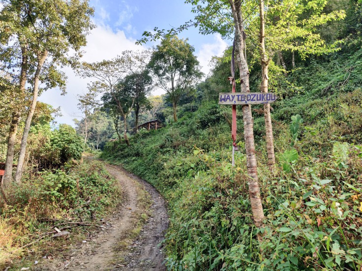 Dzukou Valley Nagaland (1)
