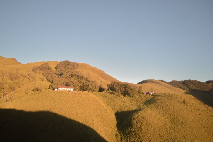 Dzukou Valley Nagaland (11)