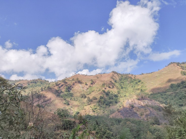 Dzukou Valley Nagaland (13)