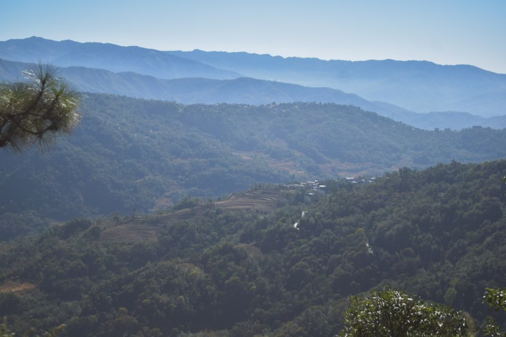 Dzukou Valley Nagaland (2)